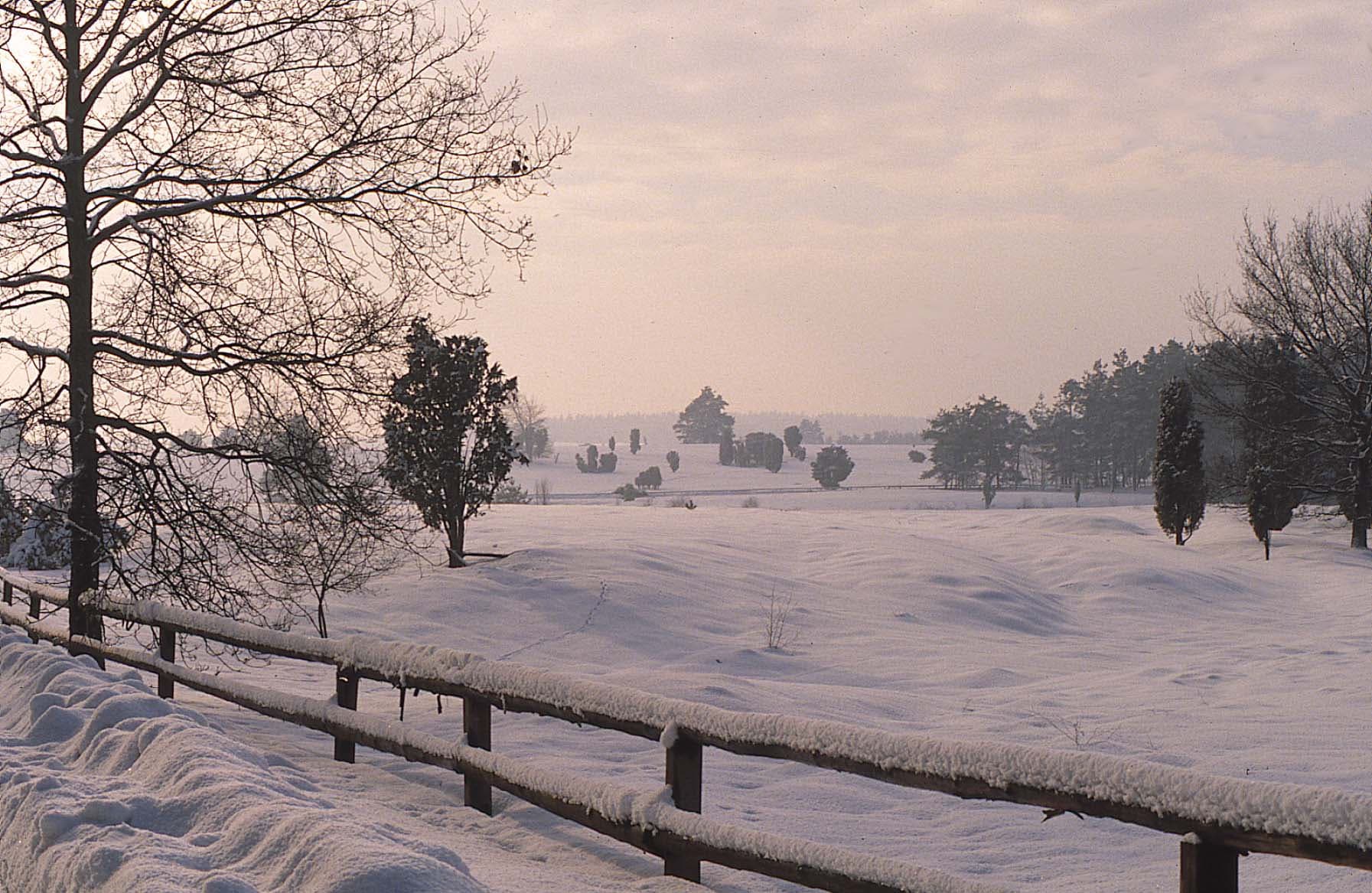 Neujahrswanderung auf dem Heidschnuckenweg