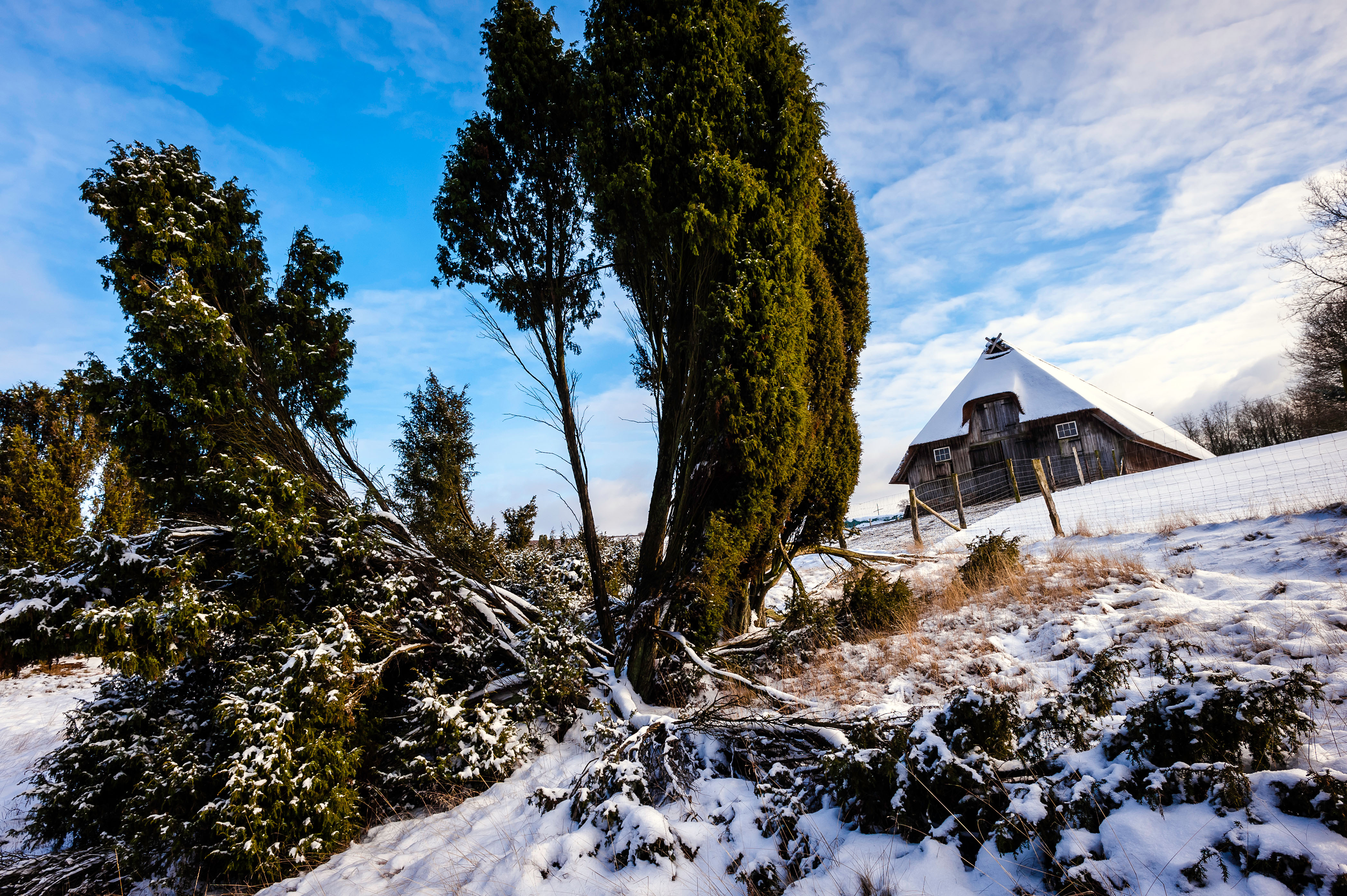 Neujahrswanderung auf dem Heidschnuckenweg