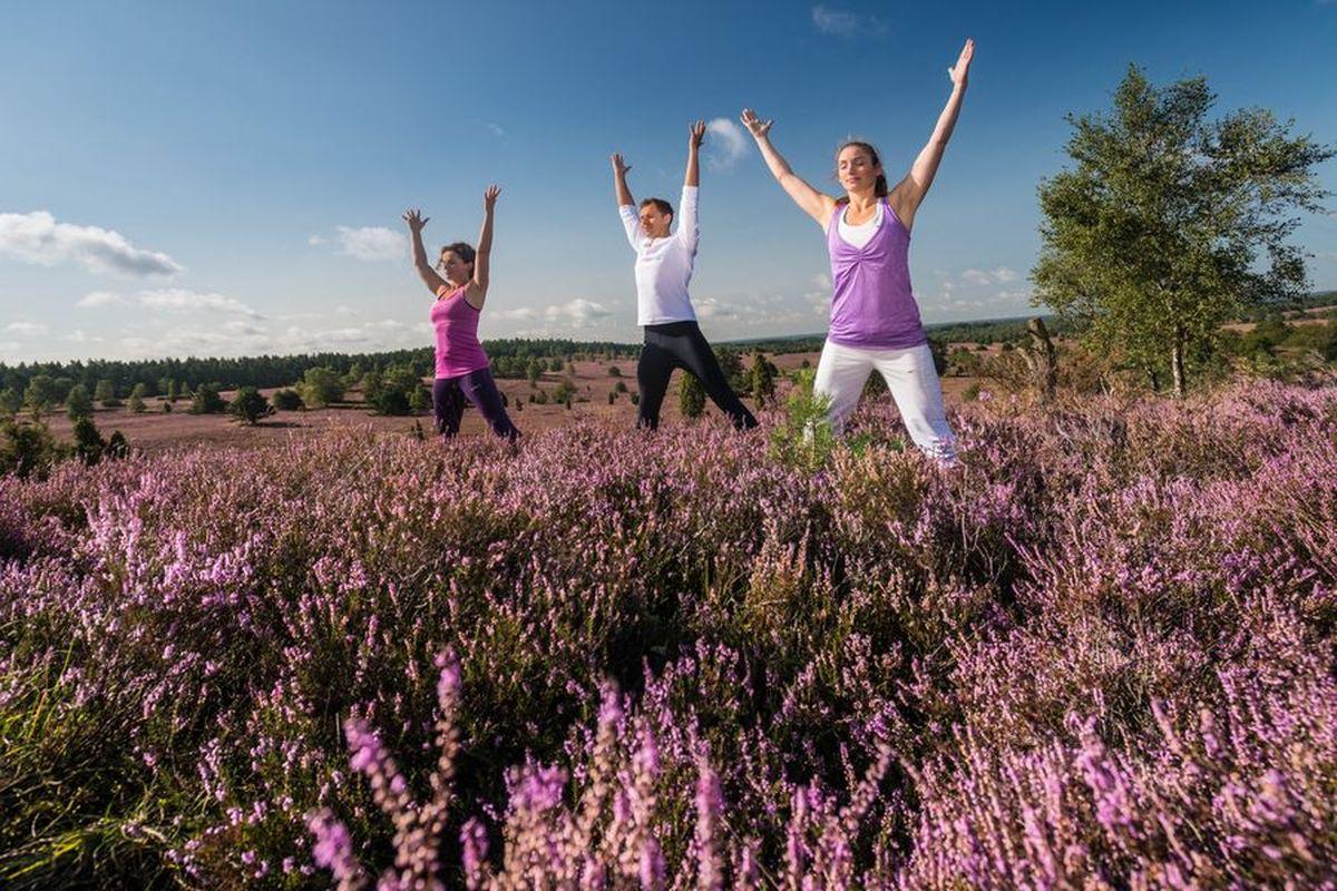 Yogawalk in der Misselhorner Heide