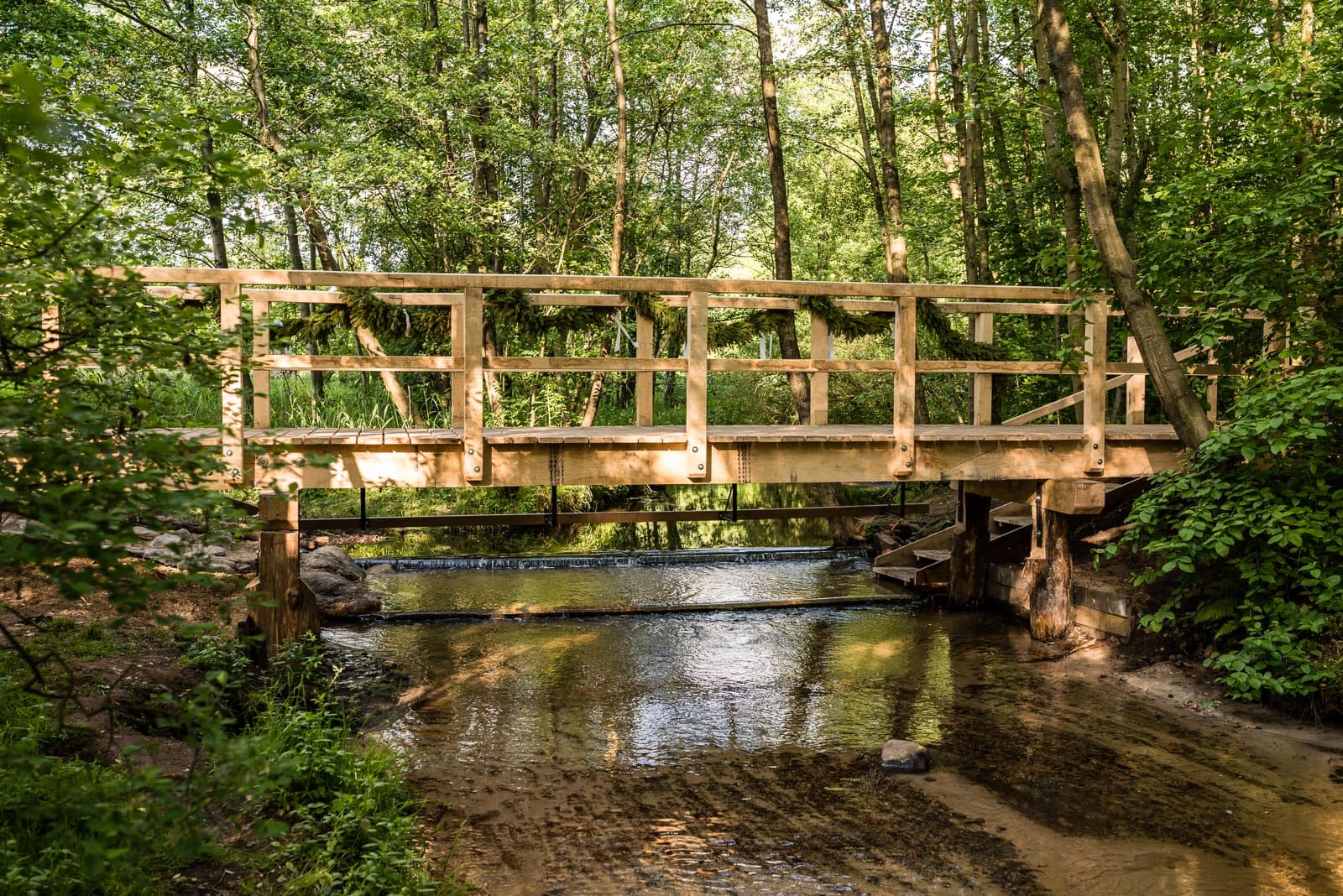 Bei Wietzendorf Etappe 7 des Heidschnuckenwegs