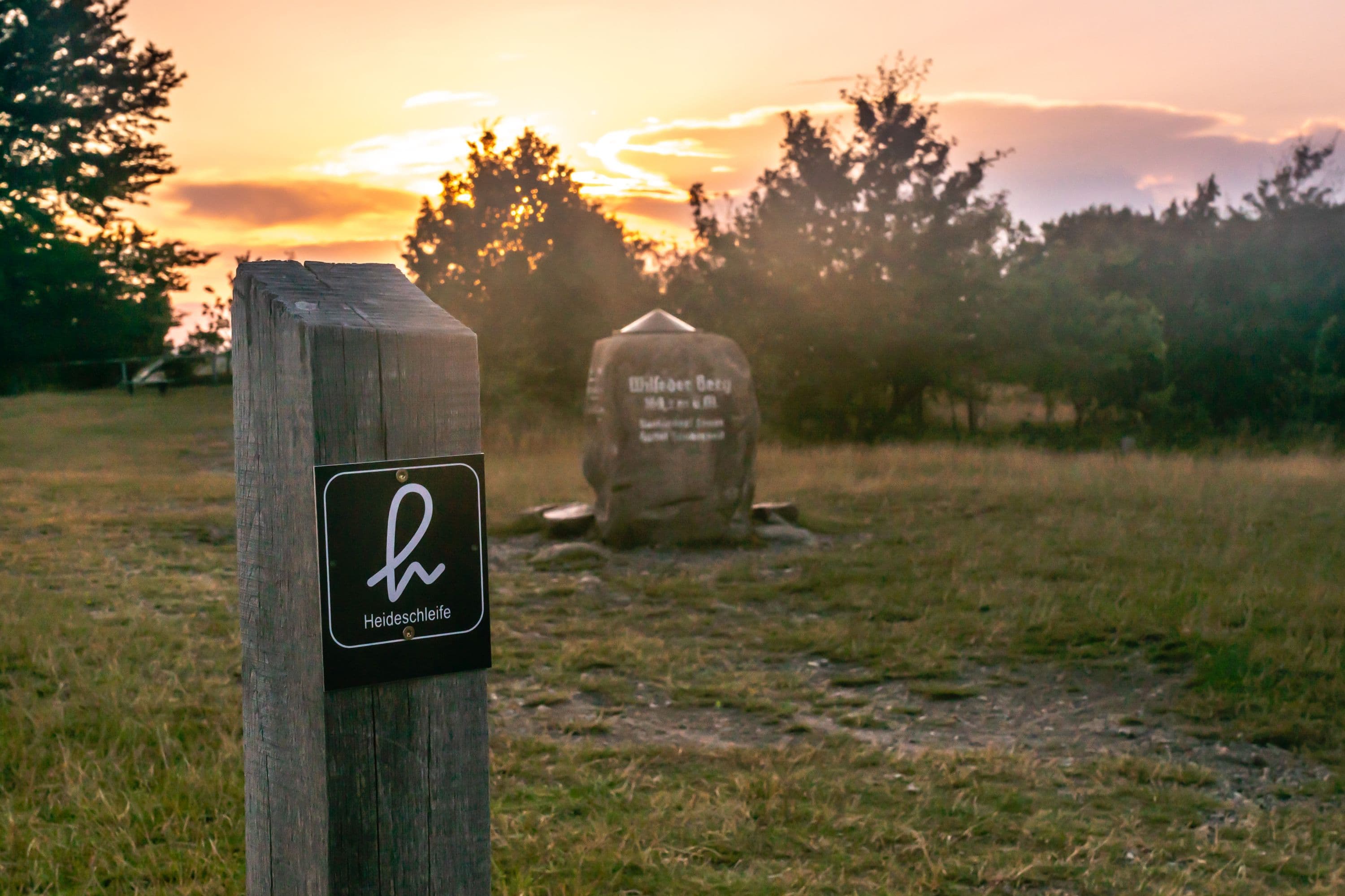 Bispingen Wilseder Berg Sonnenaufgang