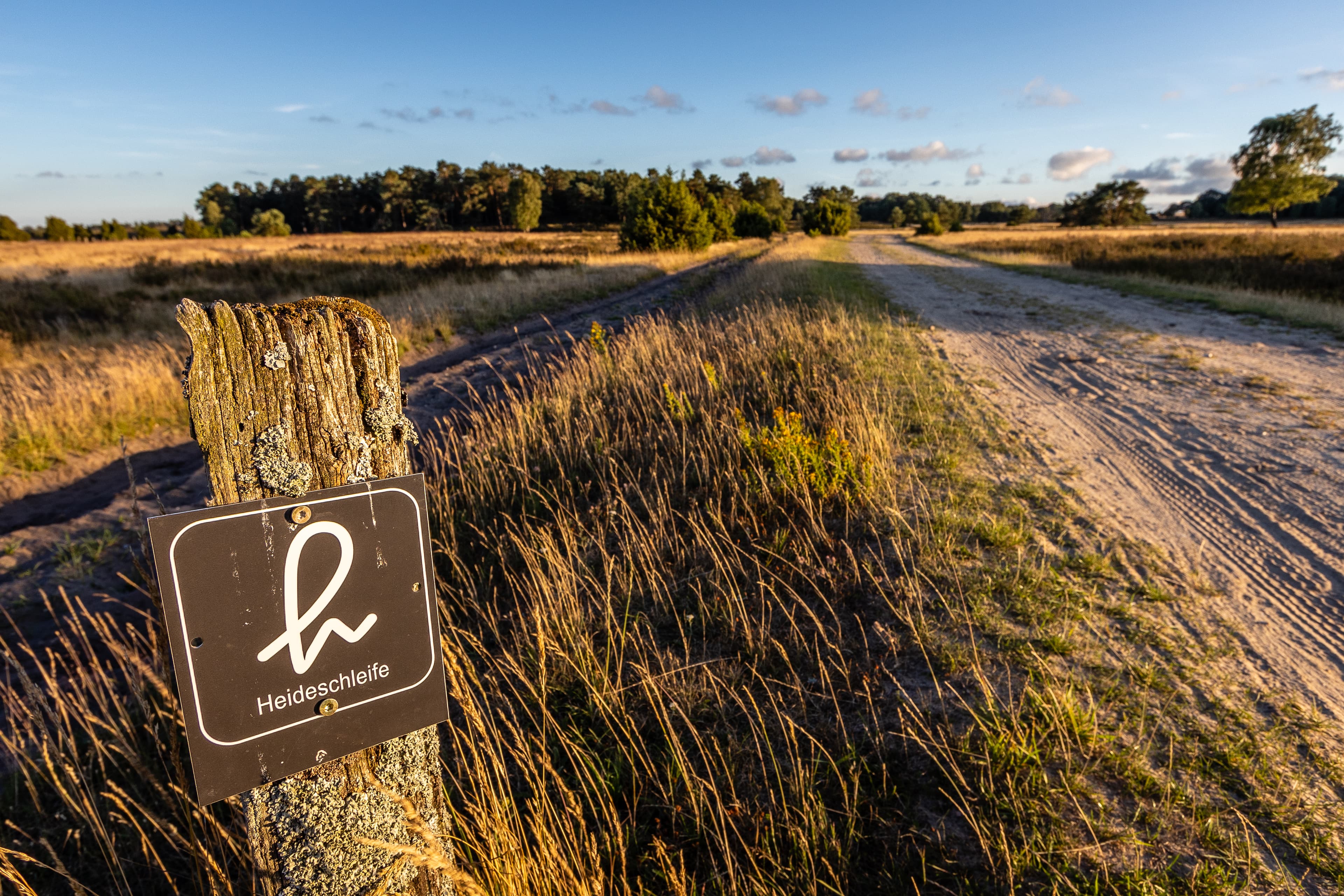 Heideschleife am Tütsberg Heath loop on the Tütsberg Hedesløjfe på Tütsberg Heidelus op de Tütsberg