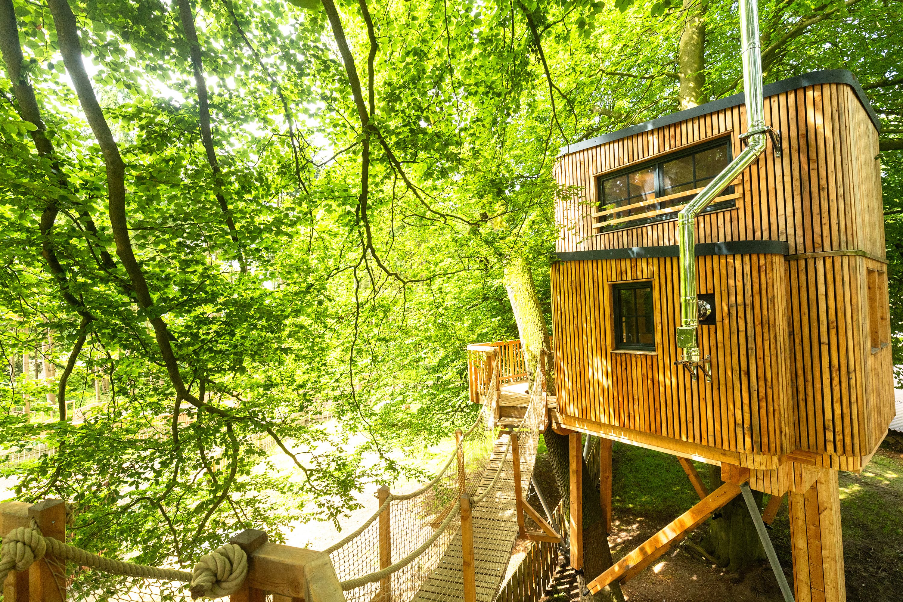 Baumhaus übernachtung am naturschutzgebiet lüneburger heide