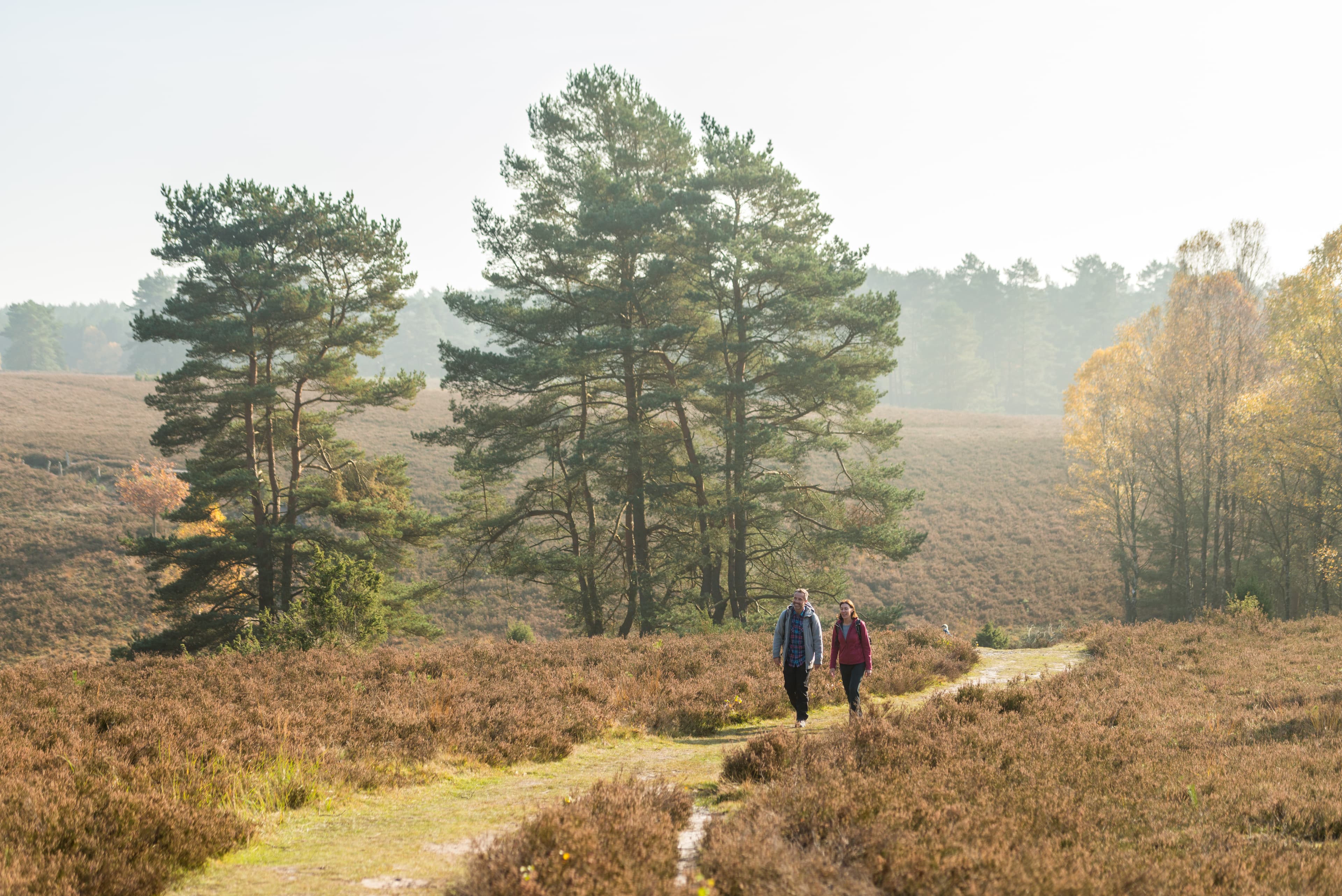 Wandern auf dem Heidschnuckenweg im herbstlichen Tiefental Hermannsburg Lüneburger Heide