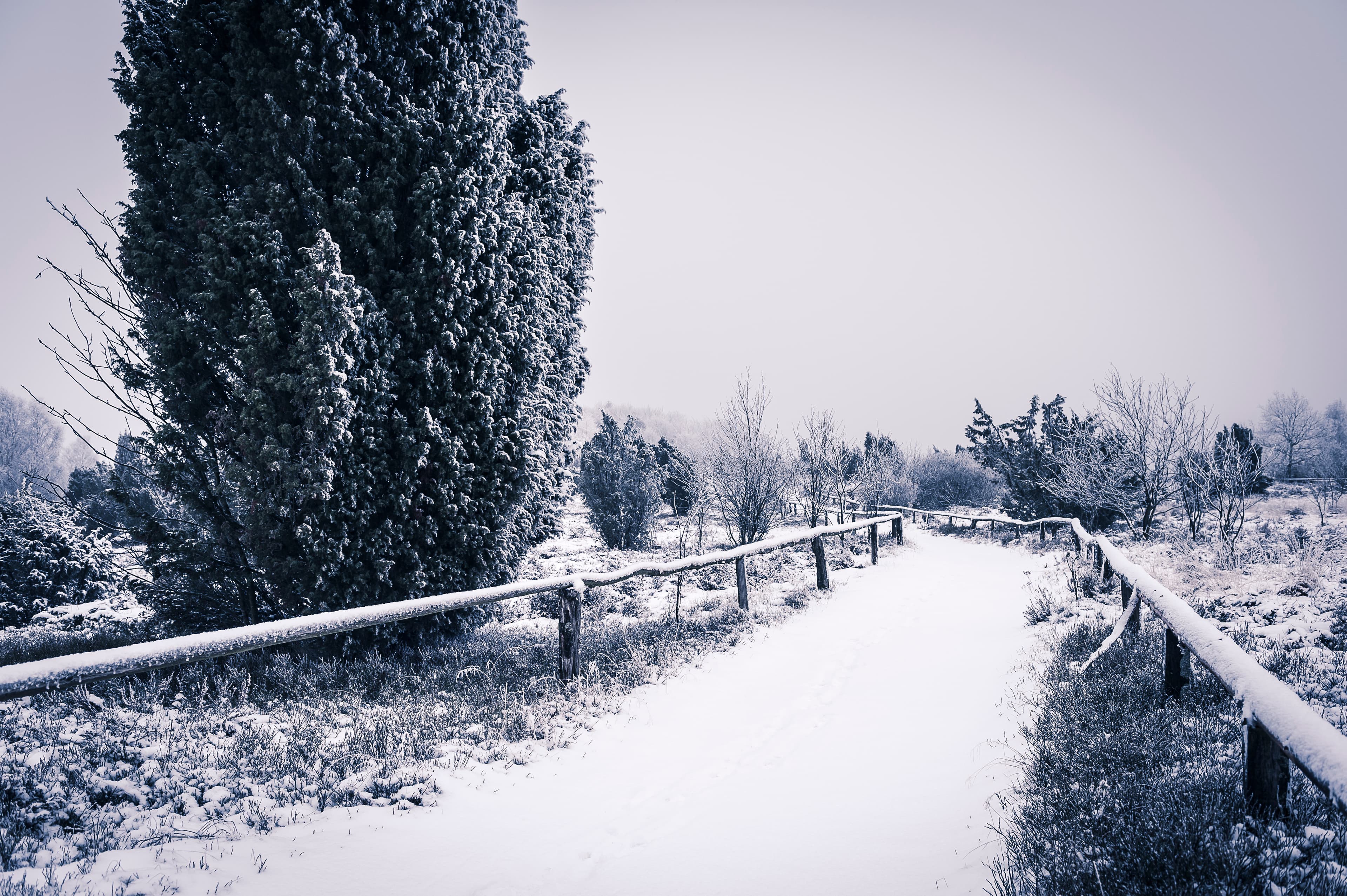 Wilseder Berg im Winter