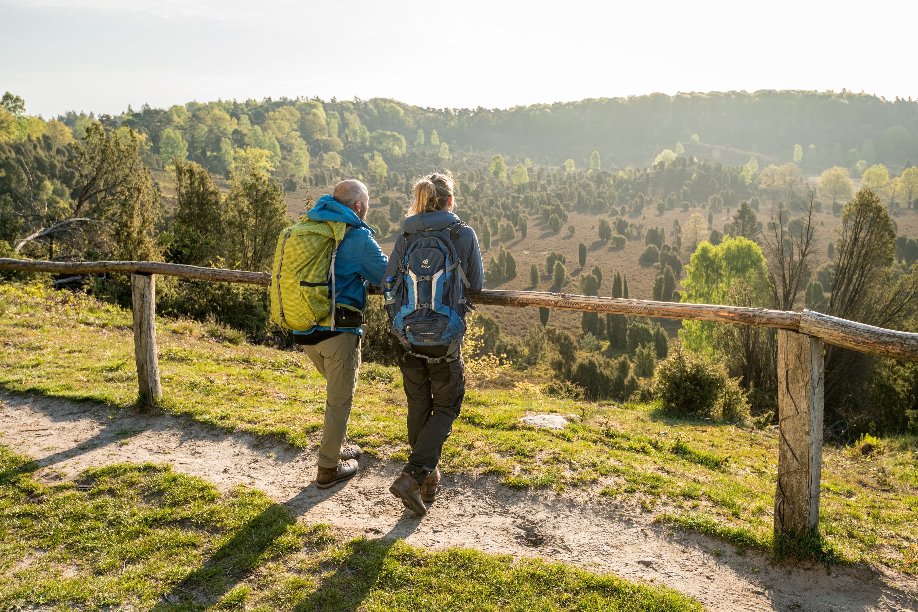 Bispingen Totengrund Fruehling Lüneburger Heide Wandern