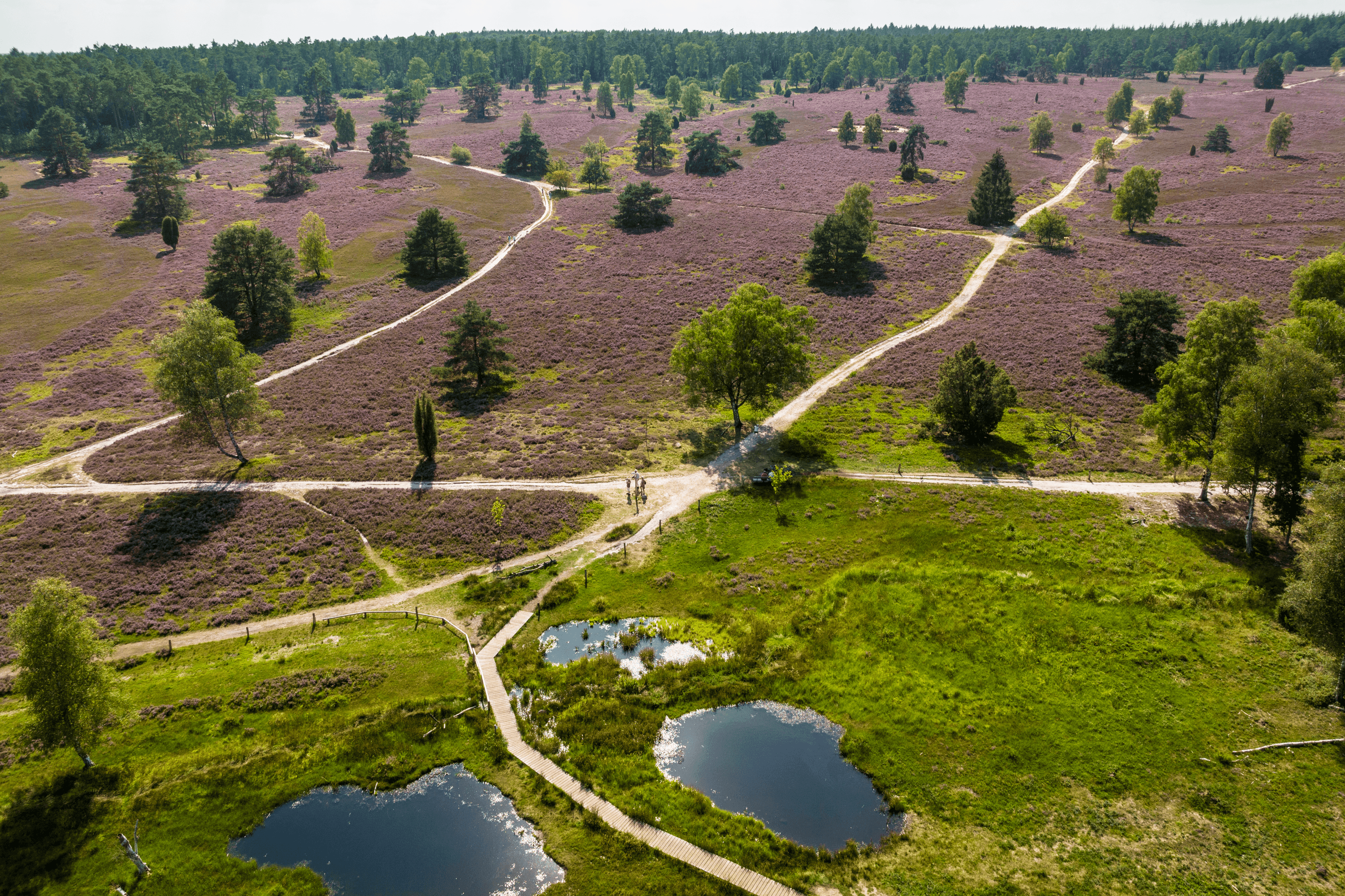 Luftaufnahme Büsenbachtal mit Feenteiche