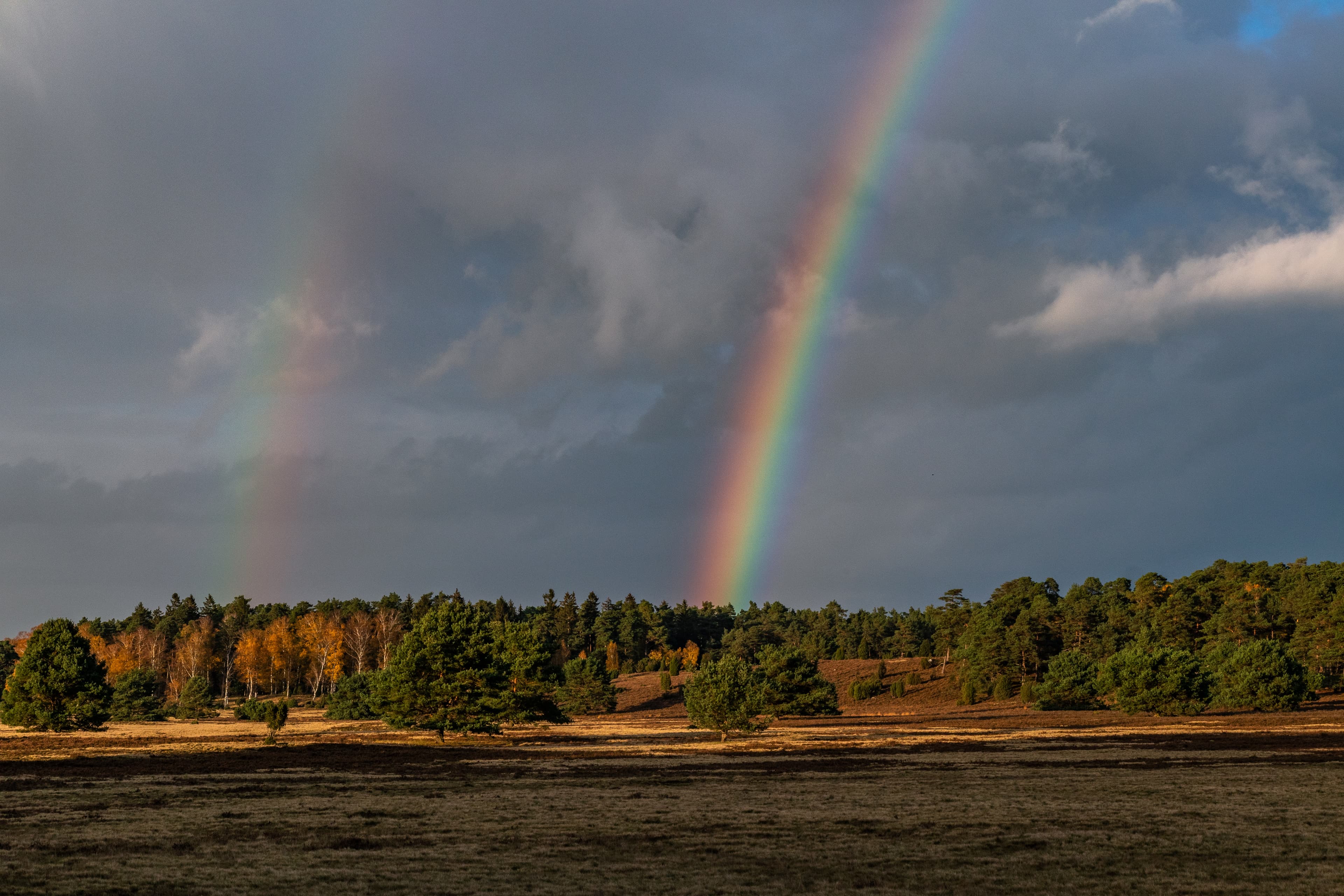 Magischer Herbst mit Regenbögen in der Lüneburger Heide