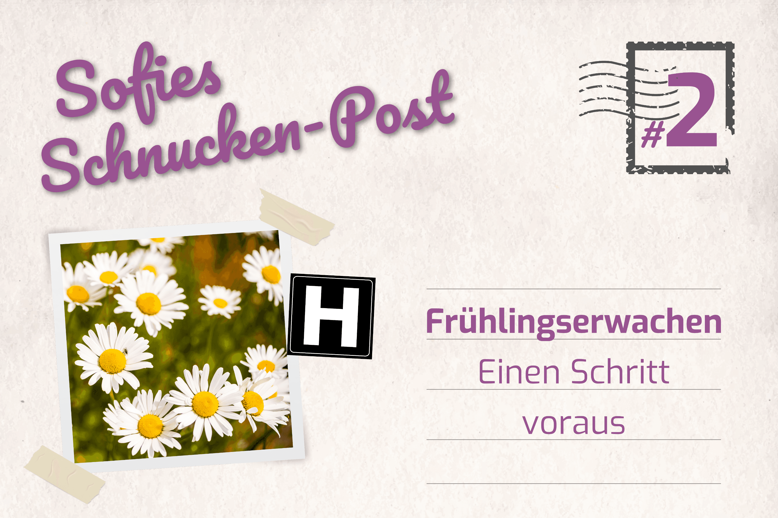 Sofies Blog zum Wandern auf dem Heidschnuckenweg