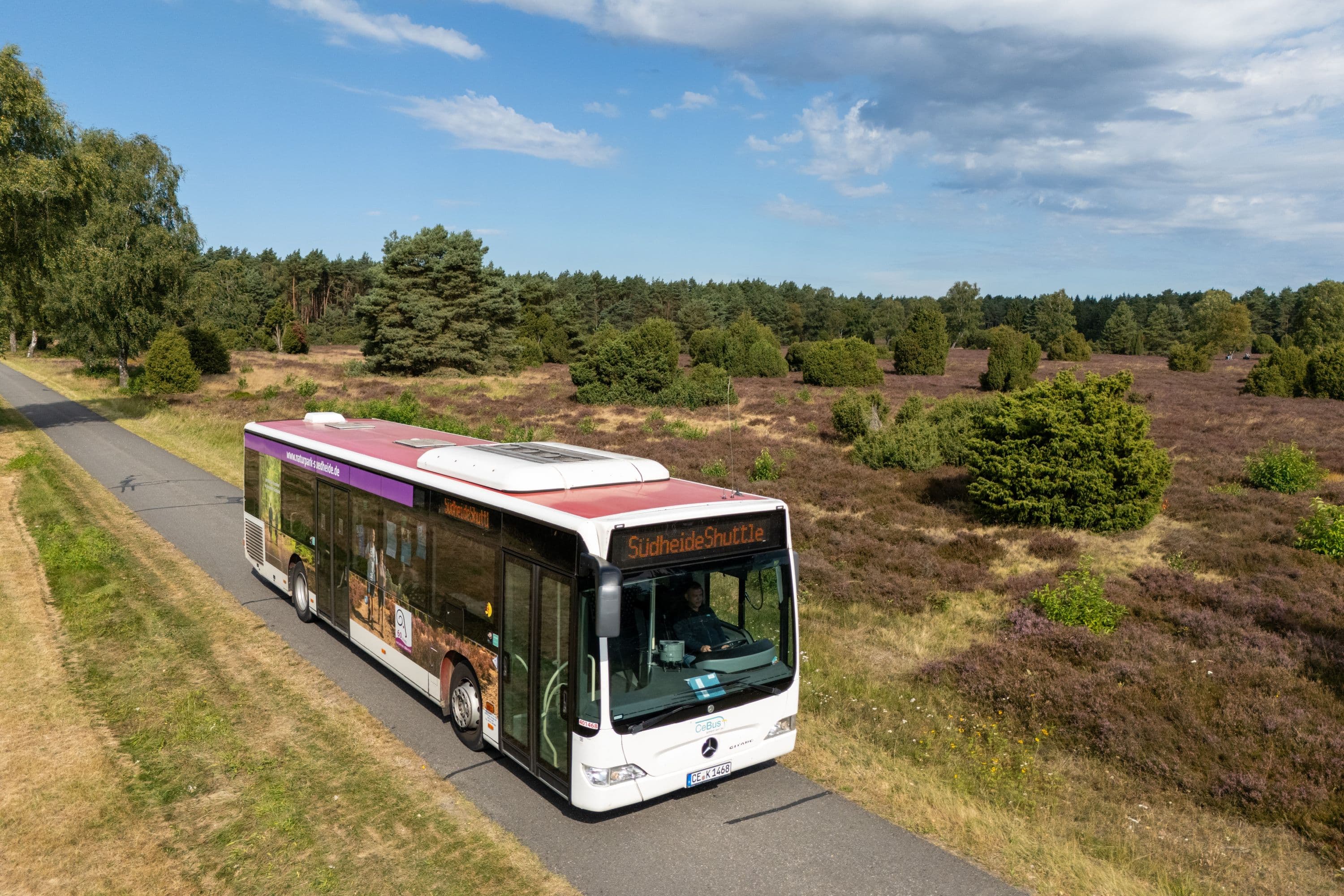 Der Südheide-Shuttle fährt zu den Heideflächen am Hausselberg