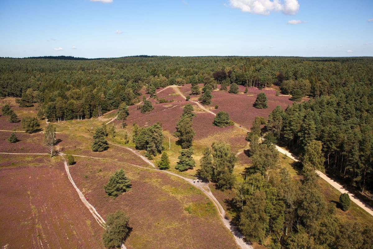Handeloh, Büsenbachtal
