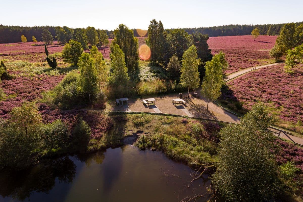 am angelbecksteich gibt es picknick plätze