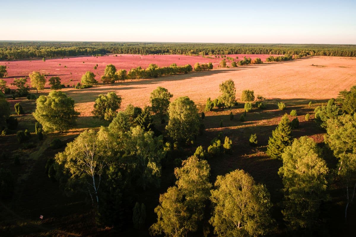 Oberoher Heide, Mueden (Oertze), Naturpark Suedheide
