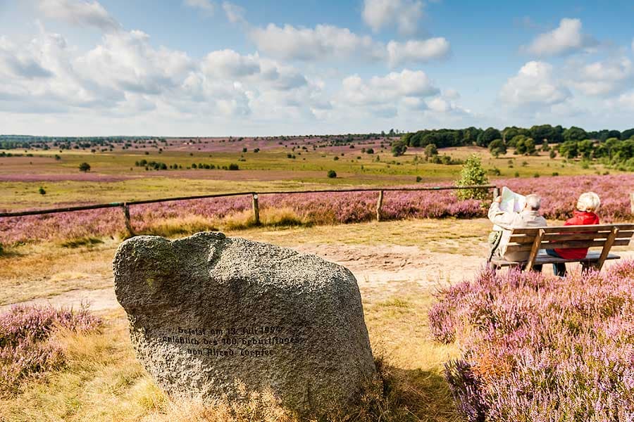 Panoramablick vom Surhorn