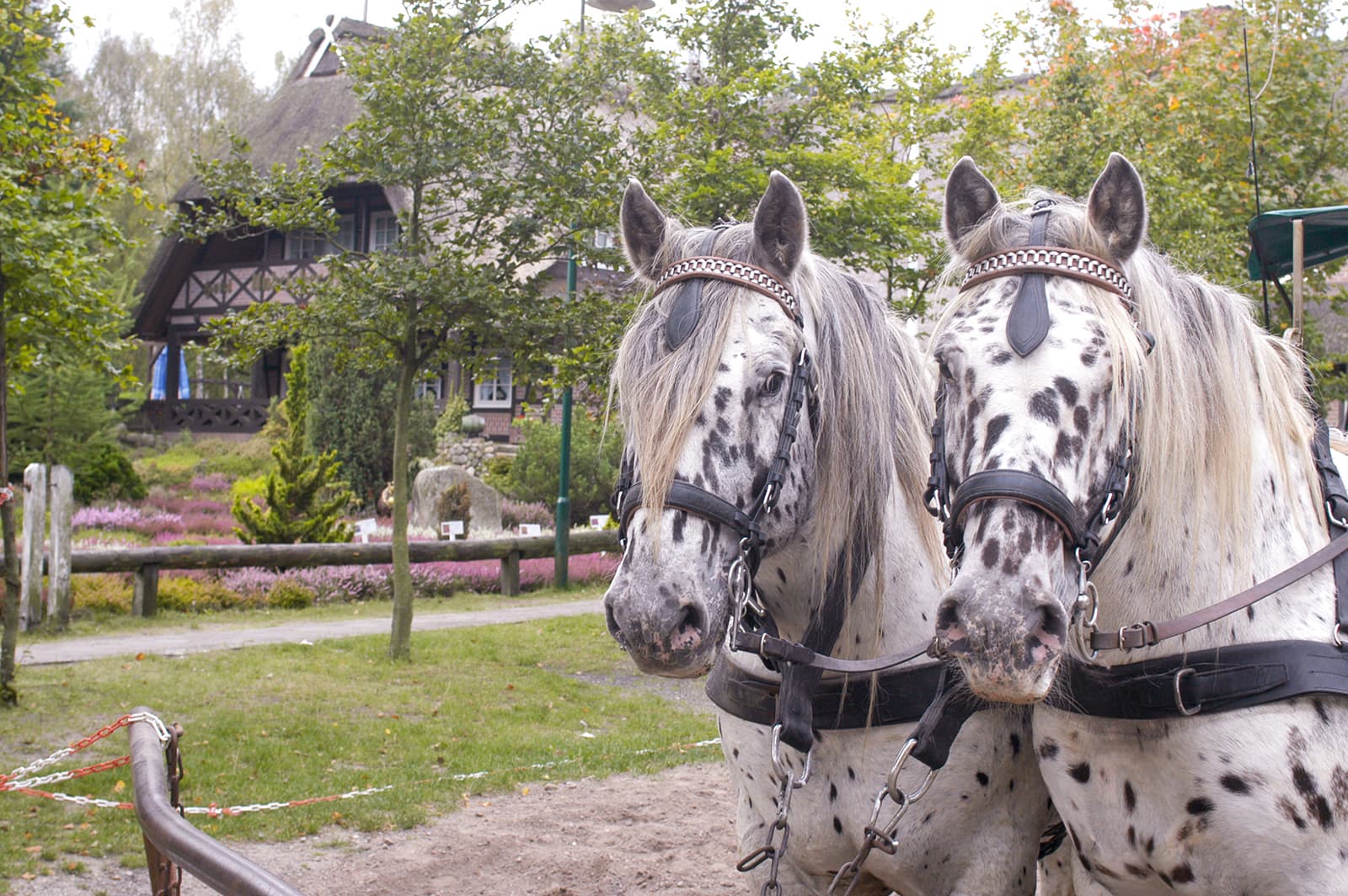 Die Onkels vom Undeloher Hof