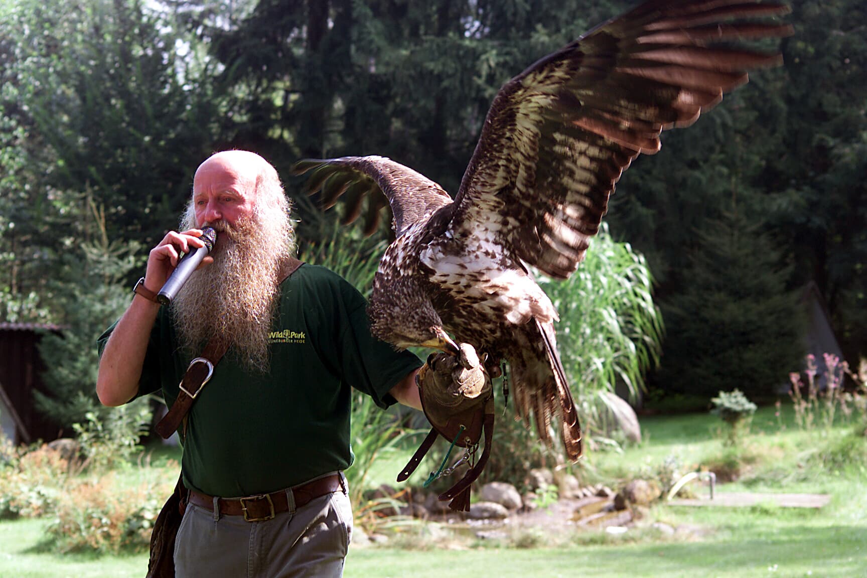 Tierpark Lüneburger Heide VogelshowLüneburg Heath Zoo Bird ShowFugleshow i Lüneburger Heide ZooVogelshow op de Lüneburger Heide