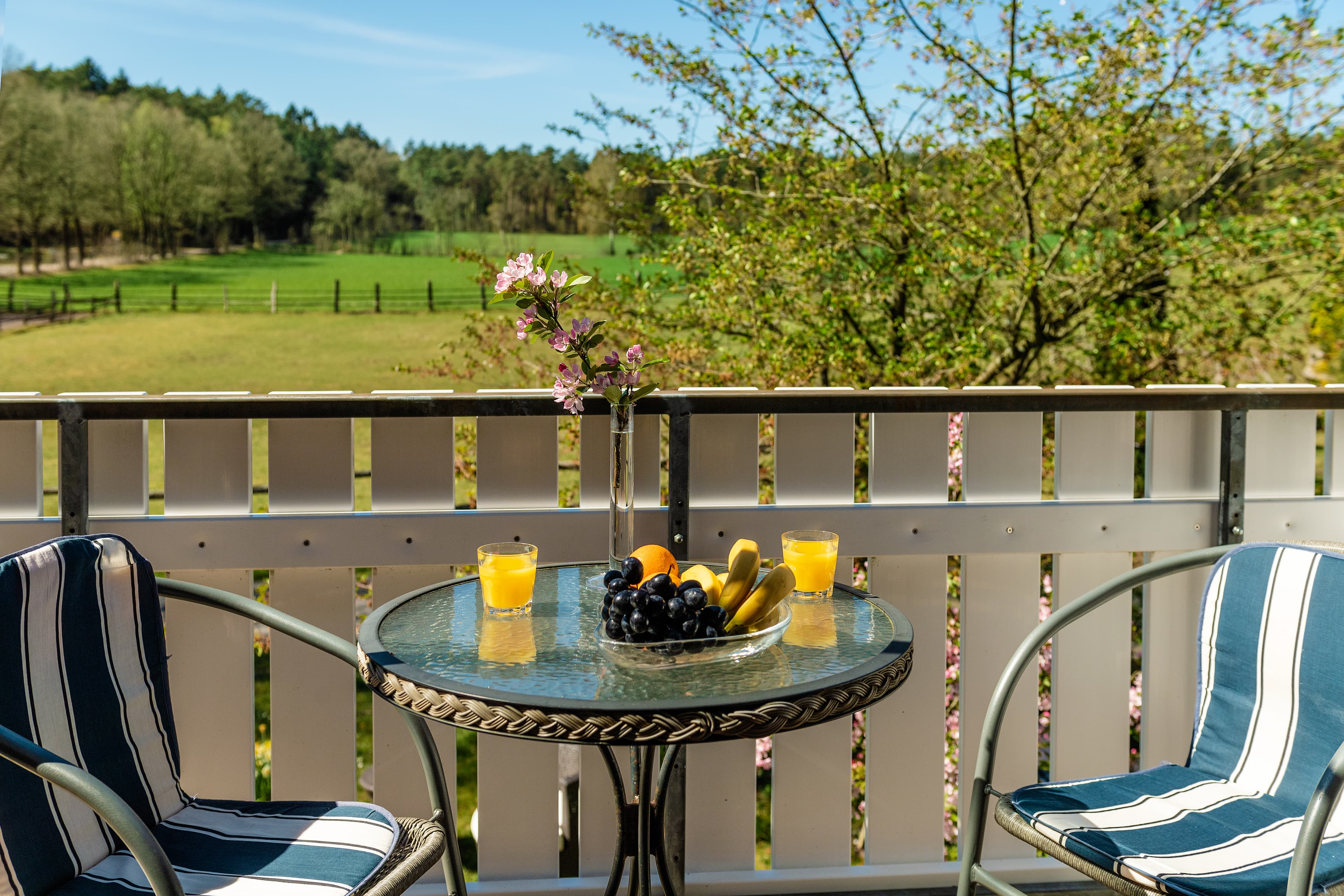 Balkon des Landhaus Calluna in Undeloh