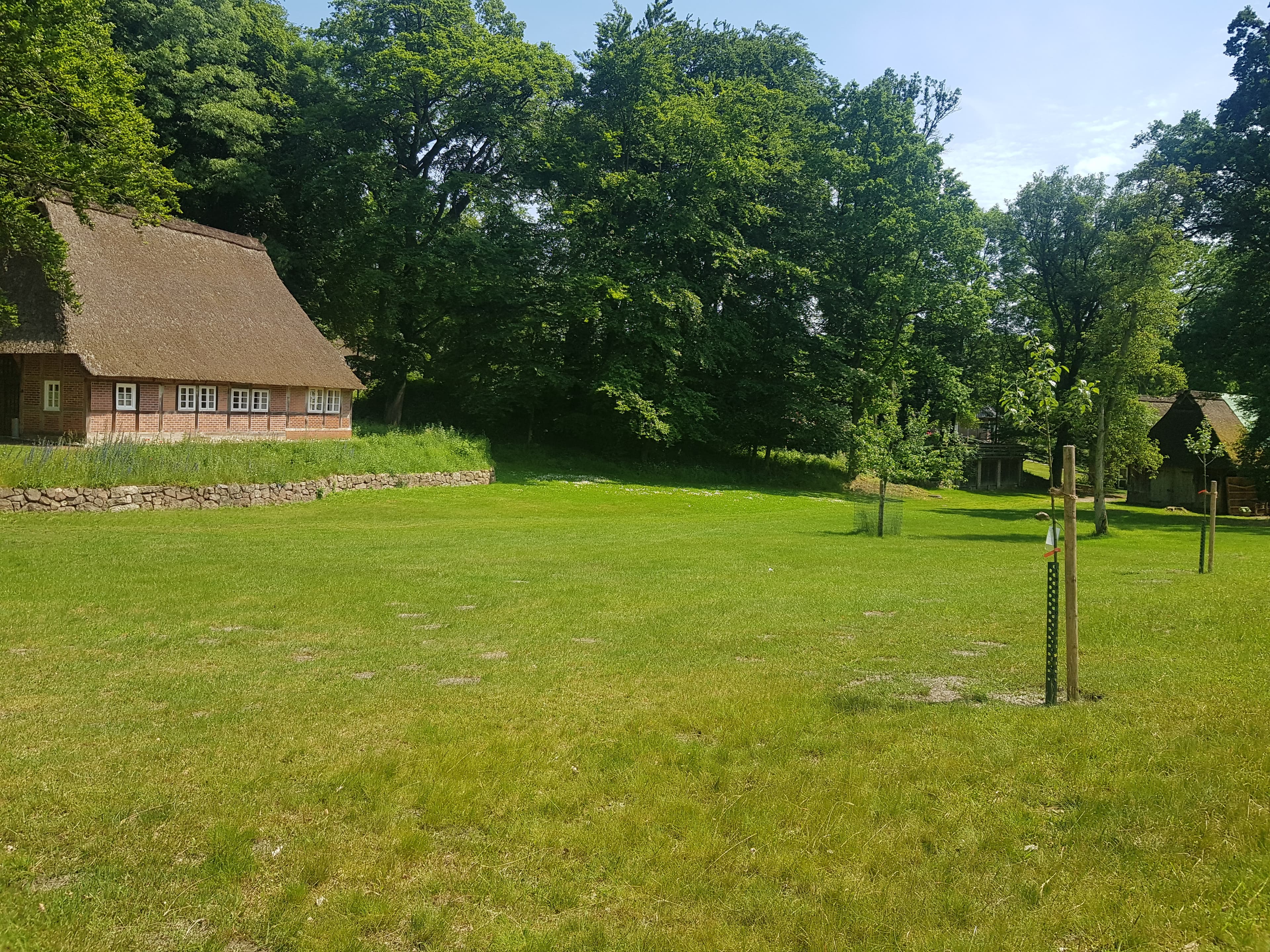 Ausblick auf die Streuobstwiese des Naturotel Landhaus Haverbeckhof in Bispingen