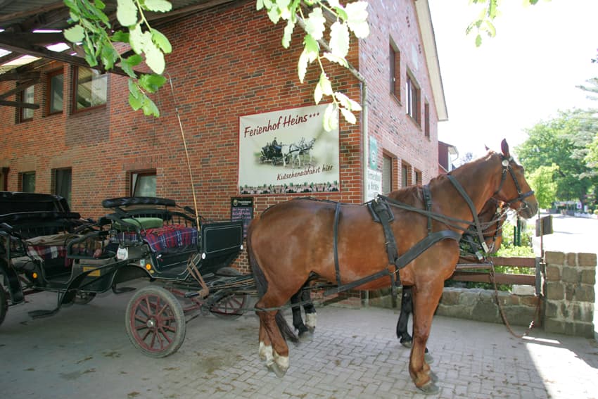 Ferienhof Heins - Gästezimmer