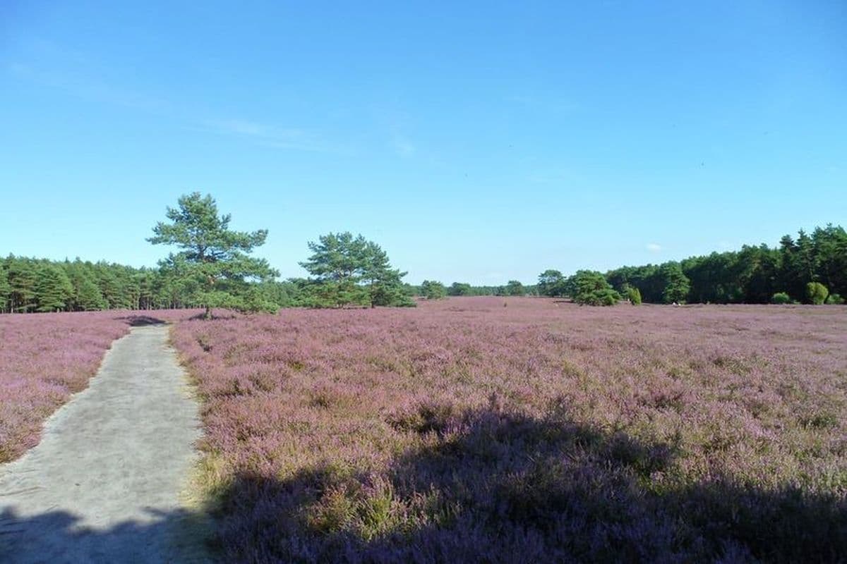 Ferienwohnung Garmatter, Hermannsburg, Naturpark Südheide