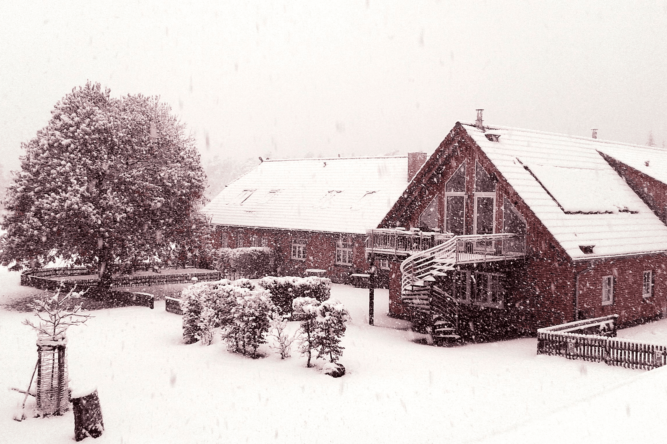 Schröderhof im Winter