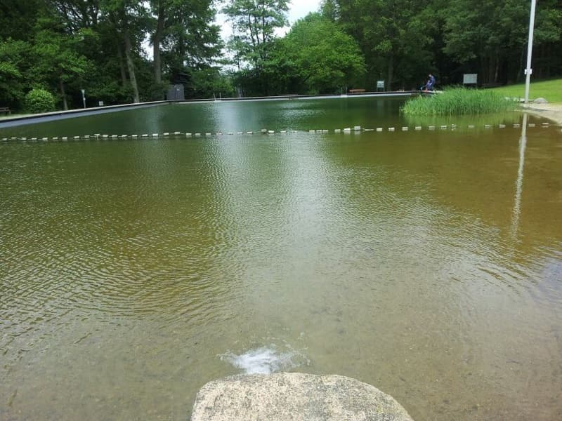 Ferienwohnung am Bollweg Waldbad Westergellsern