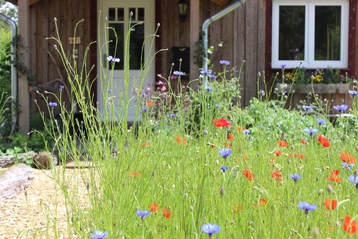 Ferienhaus Am Wegesrand Müden Örtze