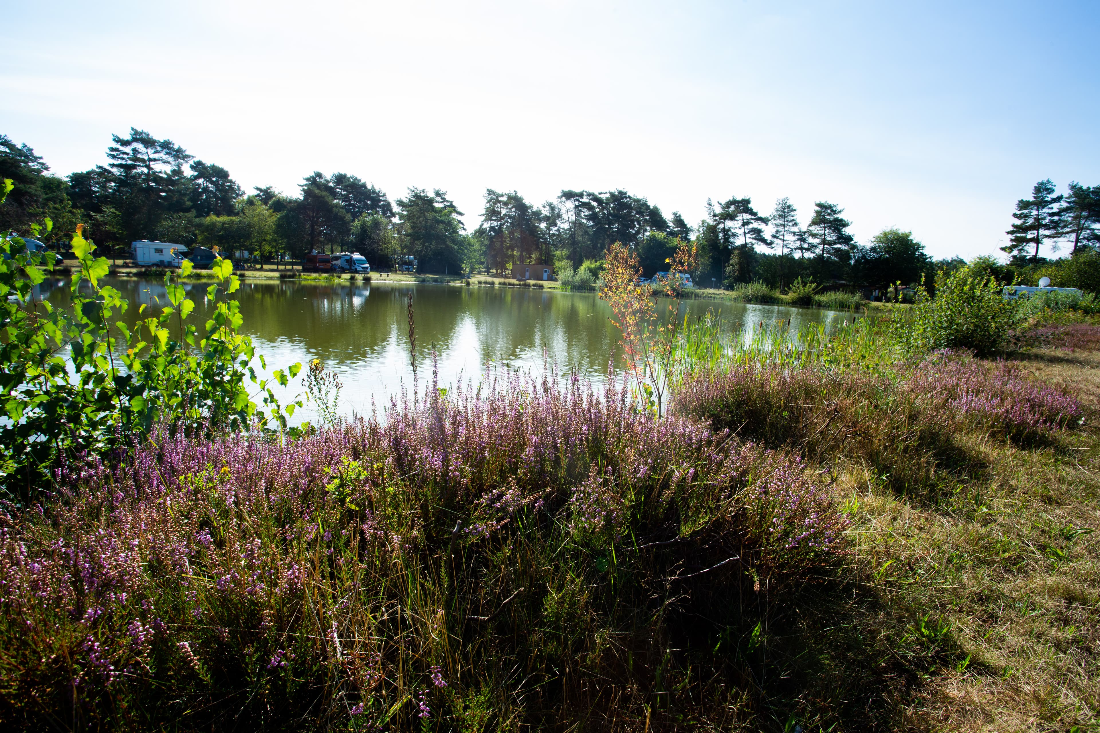 Premium Stellplätzen am Badesee des Naturcamping Lüneburger Heide in Soltau
