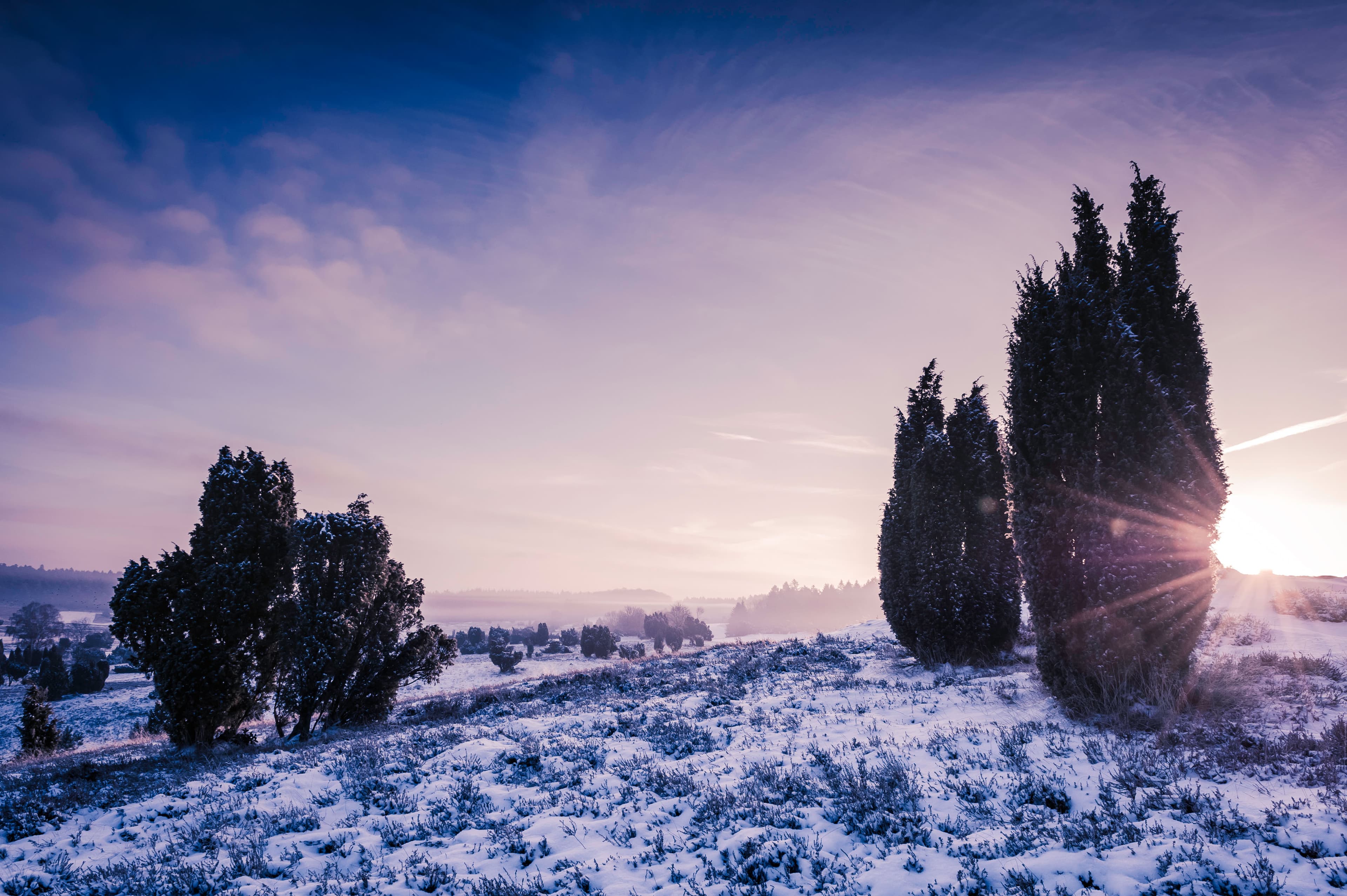 Neujahrswanderung auf dem Heidschnuckenweg