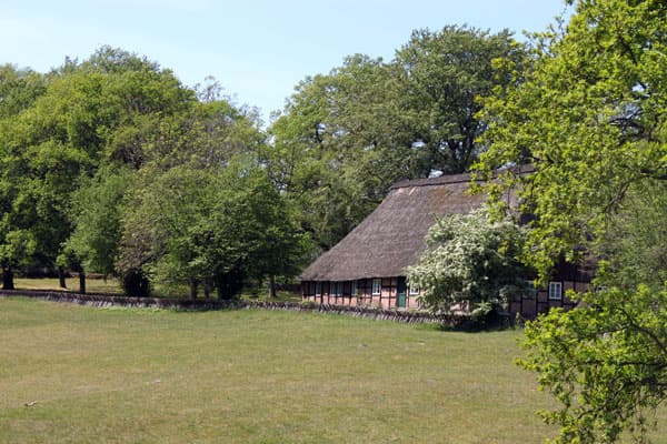 Wilseder Berg lueneburger heide
