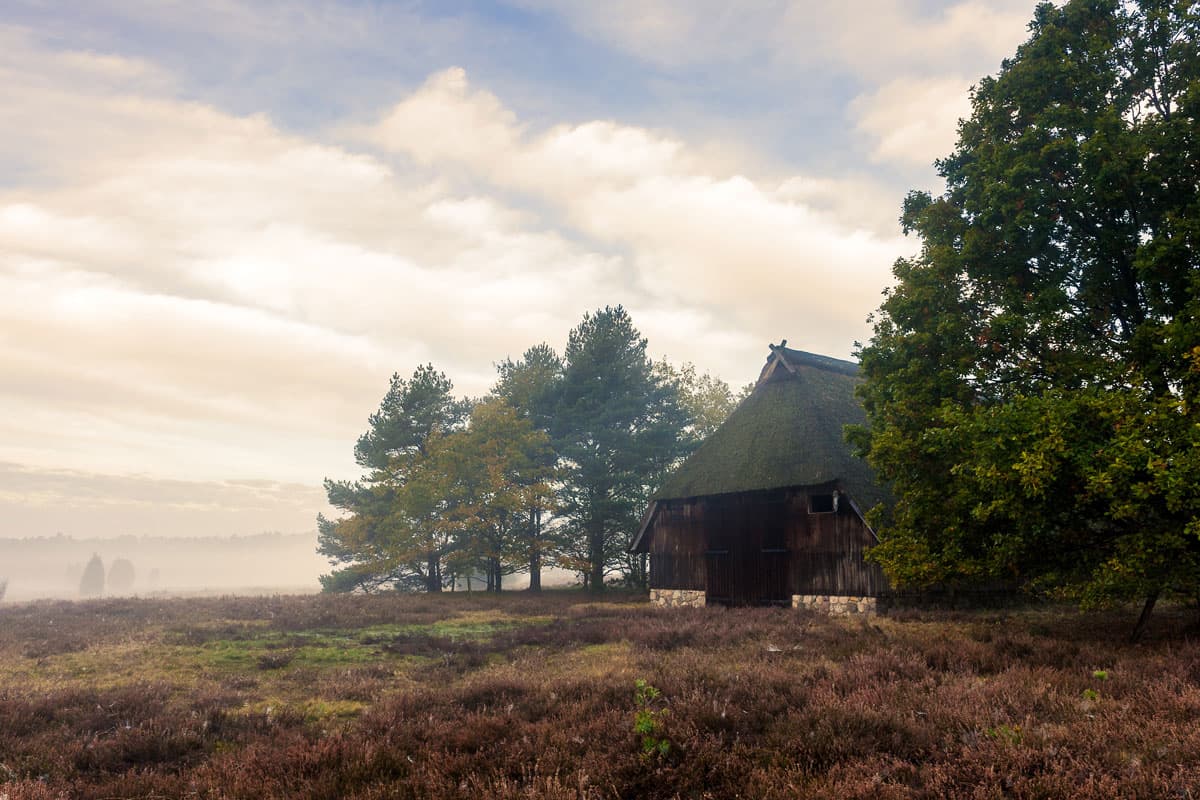 Herbst Oktober in der Heide wandern gehen