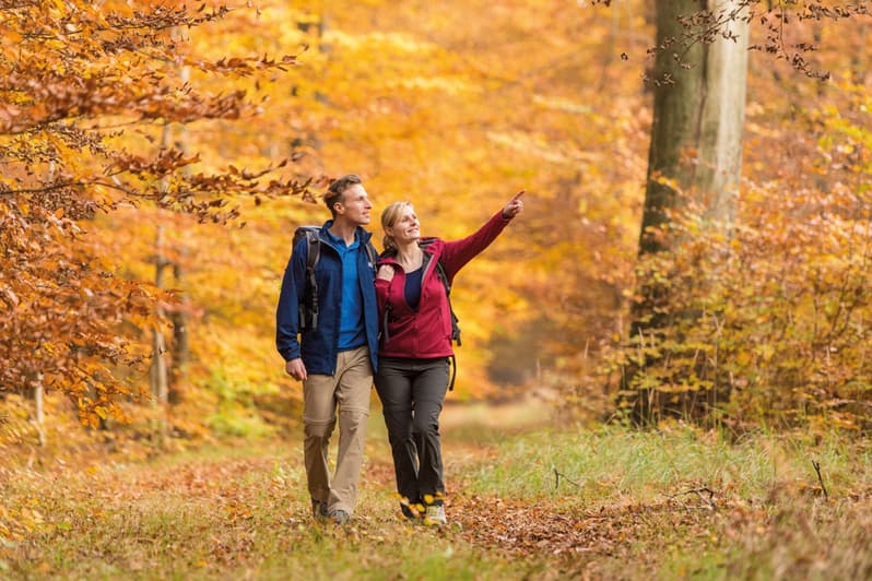 Wanderung Herbst auf dem Heidschnuckenweg in der Lüneburger Heide
