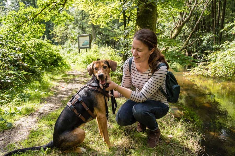 Urlaub mit Hund Deutschland