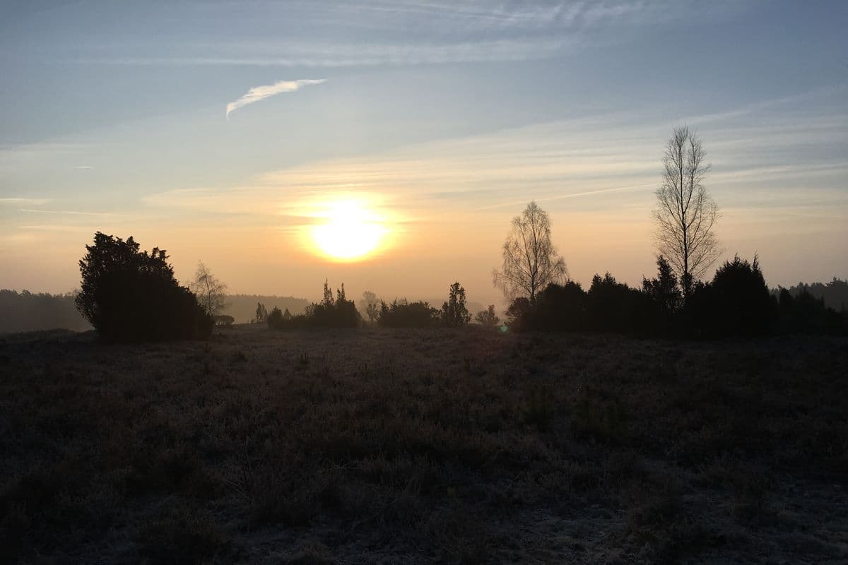 Wietzer Berg bei Müden (Örtze)