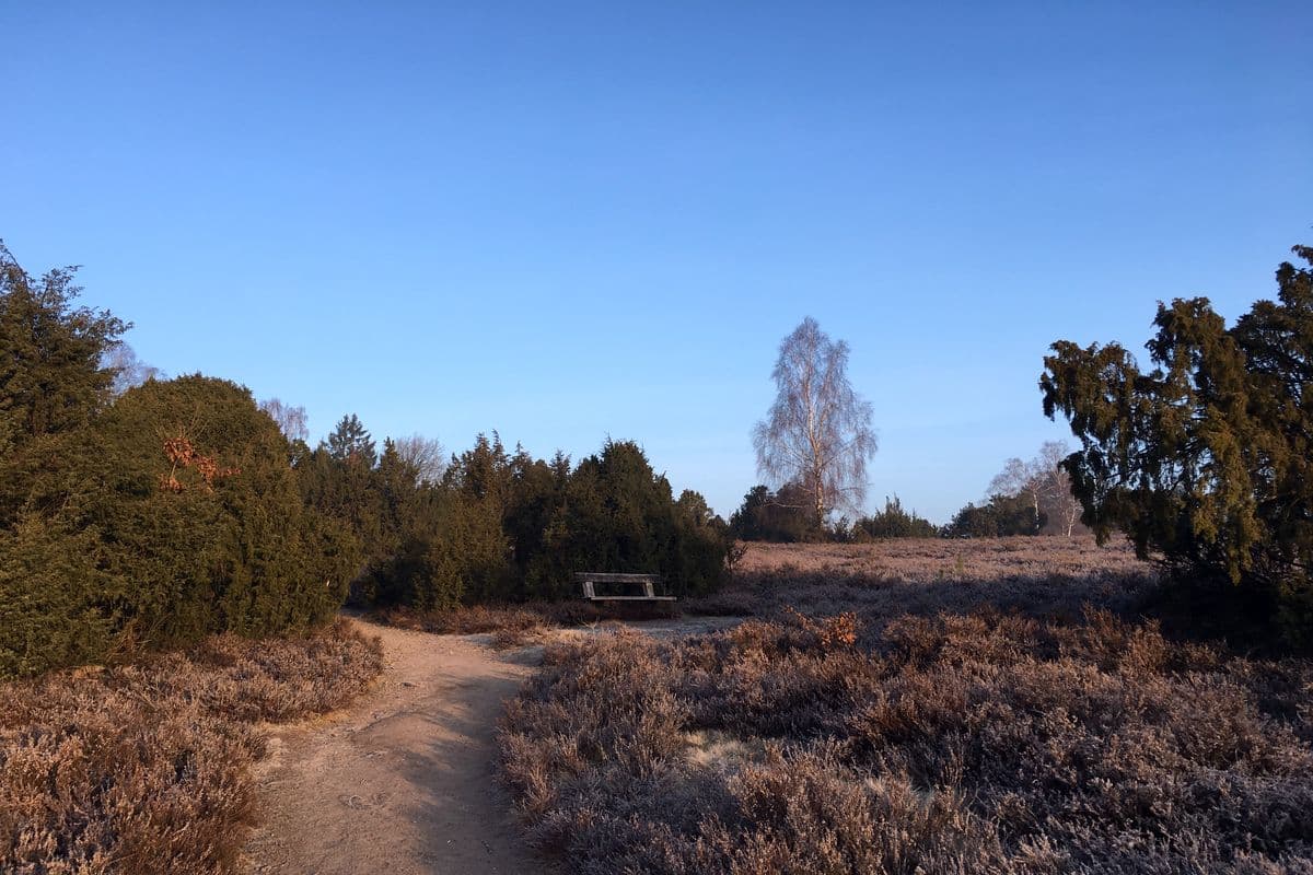 Wietzer Berg bei Müden (Örtze)