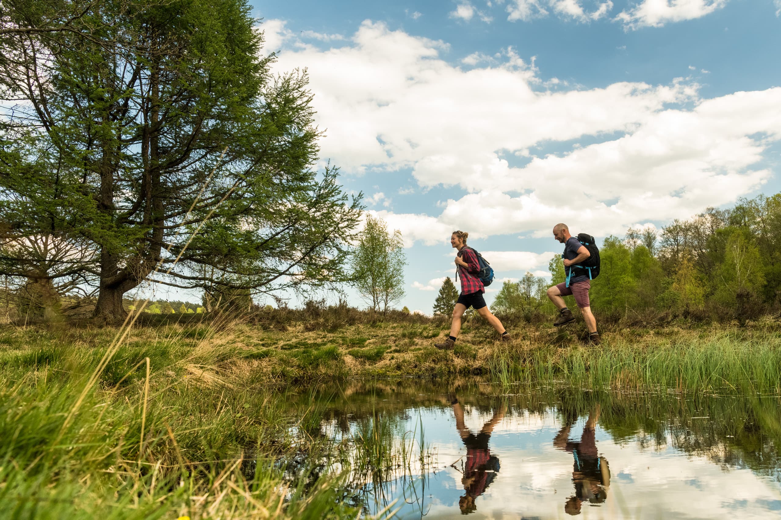 Wandern an den Pastorenteichen, aktiv sein, Wanderung in der Heide