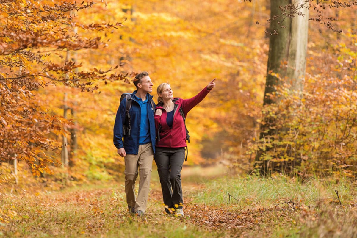 lüneburger heide herbst angebote
