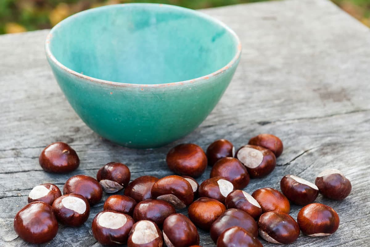 lüneburger heide herbst