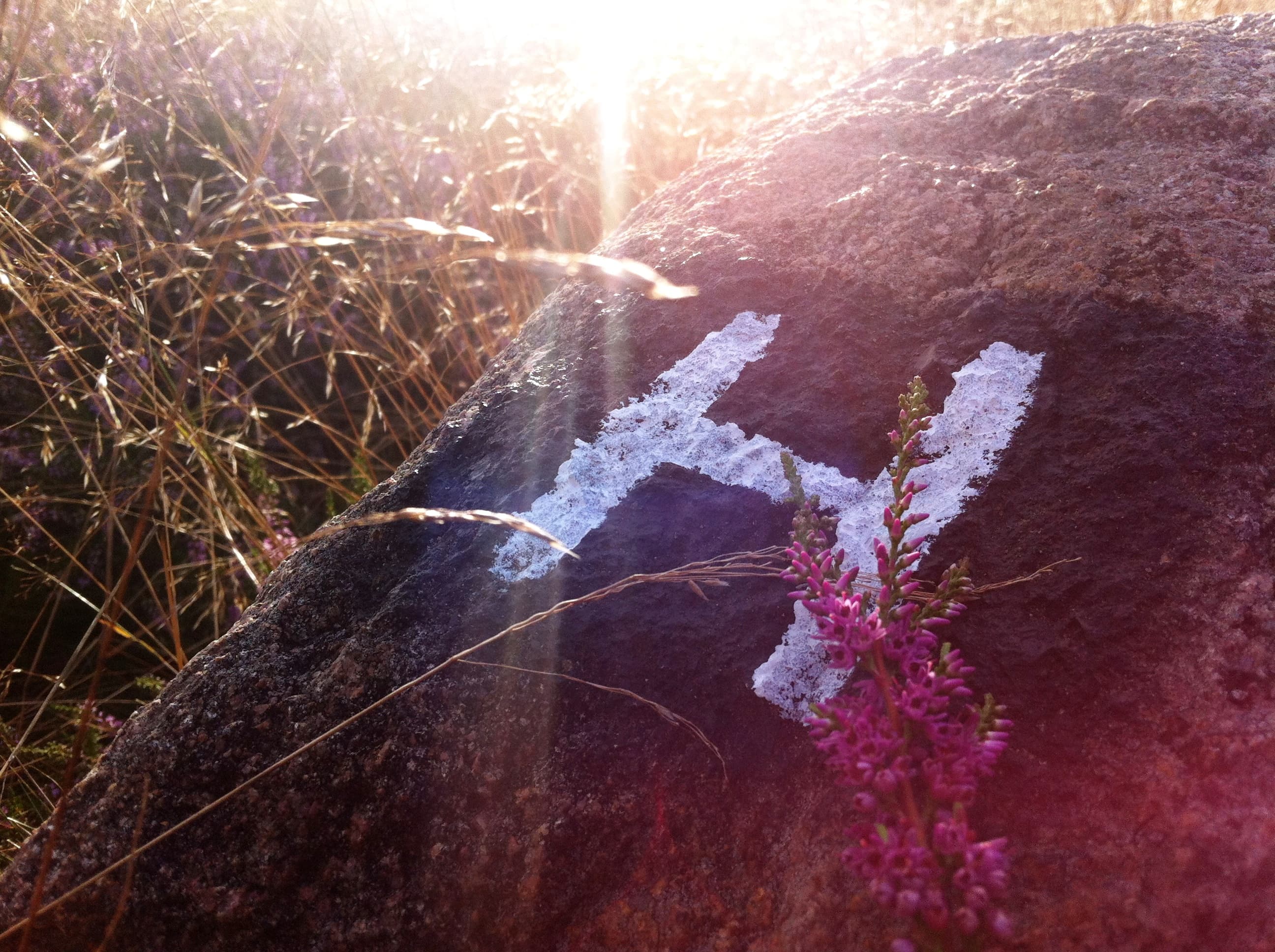 Mit dem H wird der Heidschnuckenweg ausgeschildert