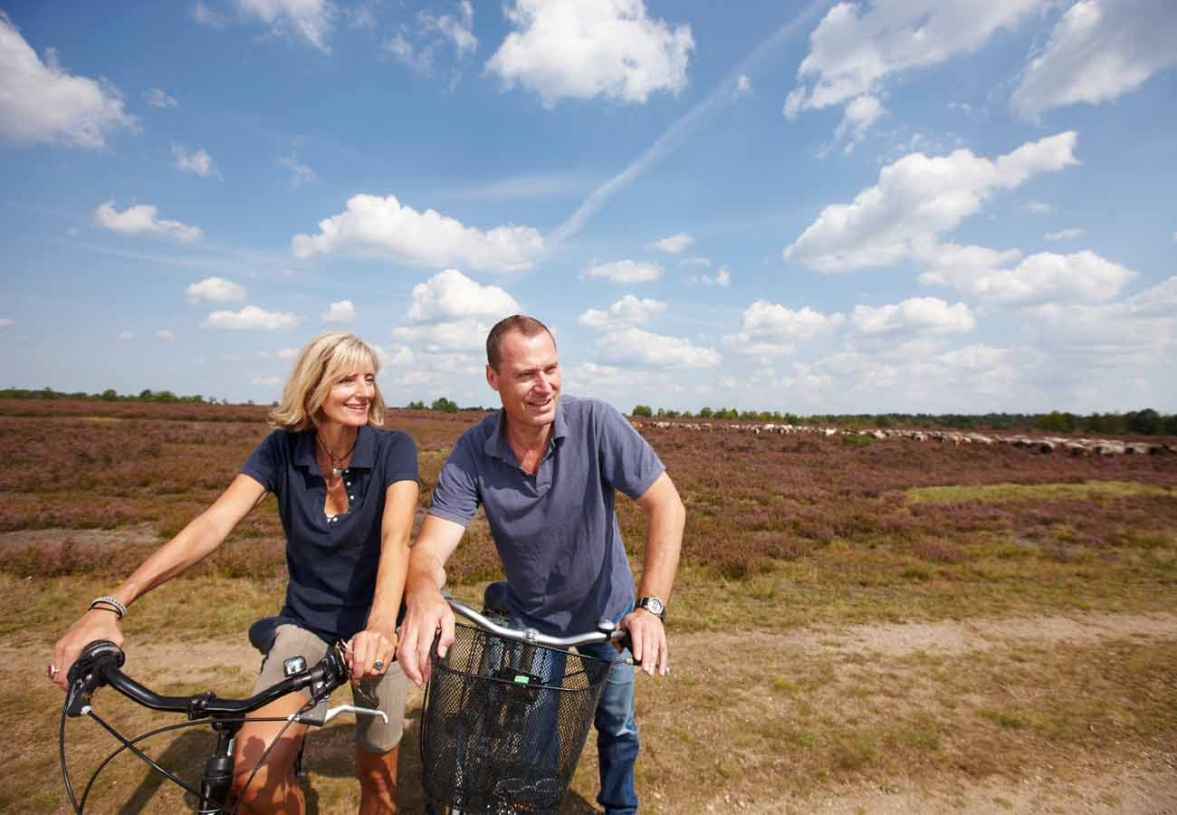 Radfahrer in der Osterheide bei Schneverdingen in der Lüneburger Heide