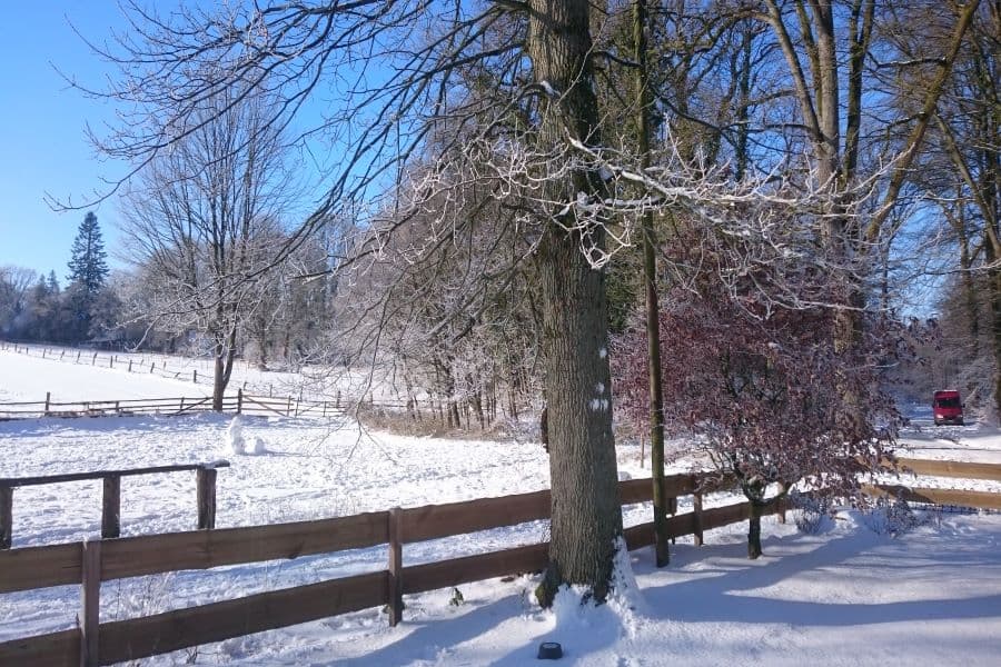 Ausblick im Winter vom Waldhuuske Café und Pension in Rosengarten