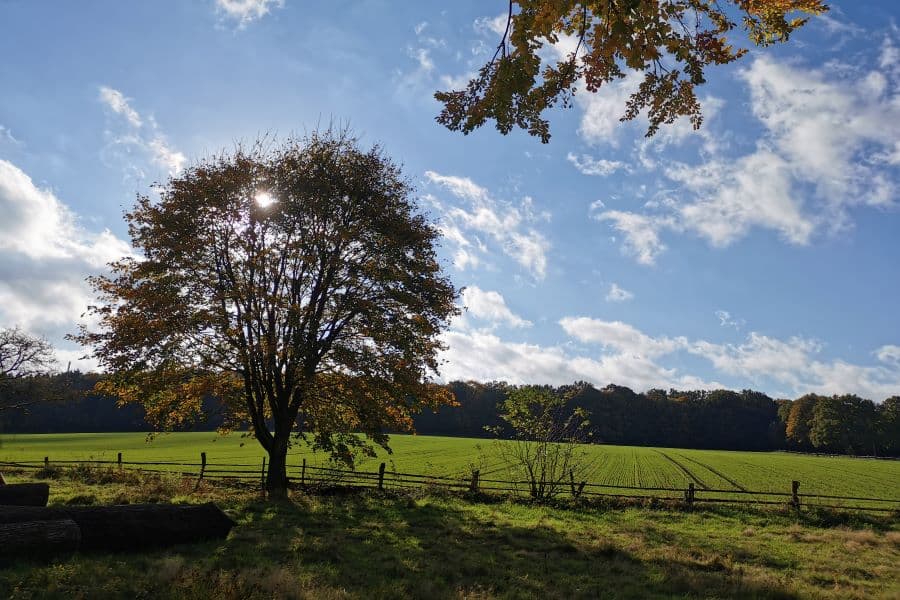 Ausblick vom Waldhuuske Café und Pension in Rosengarten