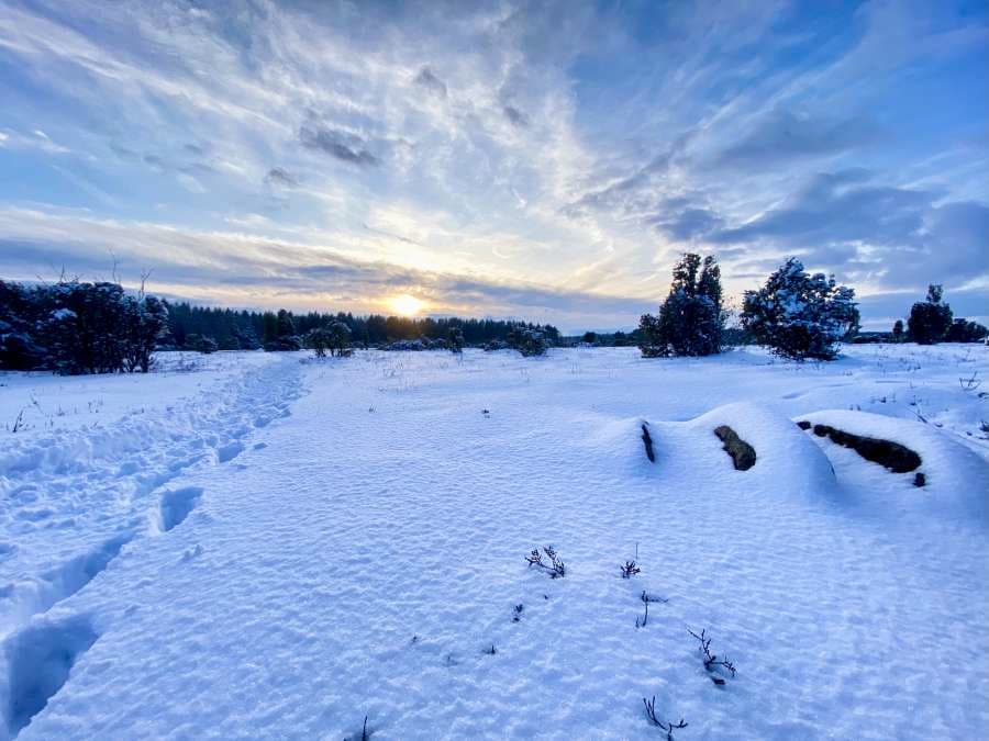 Findling im Wacholderwald Schmarbeck Südheide im Schnee