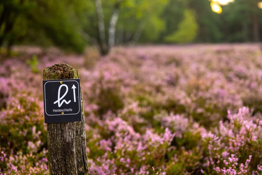 Wegweiser durch die Fischbeker Heide Rundwanderweg
