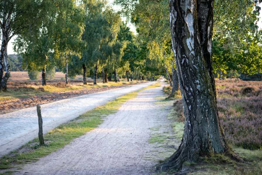 Undeloher Heide Heideschleife Radenbachtal RundwanderwegUndeloher Heide Heideschleife Radenbachtal circular hiking trailUndeloher Heide Heideschleife Radenbachtal cirkulær vandrestiUndeloher Heide Heideschleife Radenbachtal rondwandelroute