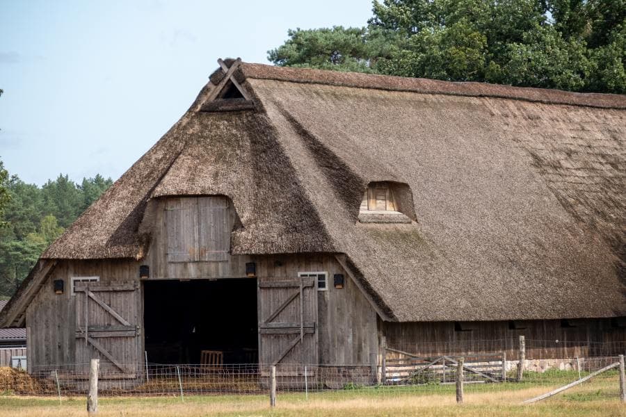 Döhler Heidefläche Schafstall Heideschleife Radenbachtal RundwanderwegDöhler Heidefläche sheepfold Heideschleife Radenbachtal circular hiking trailDöhler Heidefläche fårefold Heideschleife Radenbachtal cirkulær vandrestiDöhler Heidefläche schaapskooi Heideschleife Radenbachtal rondwandelroute