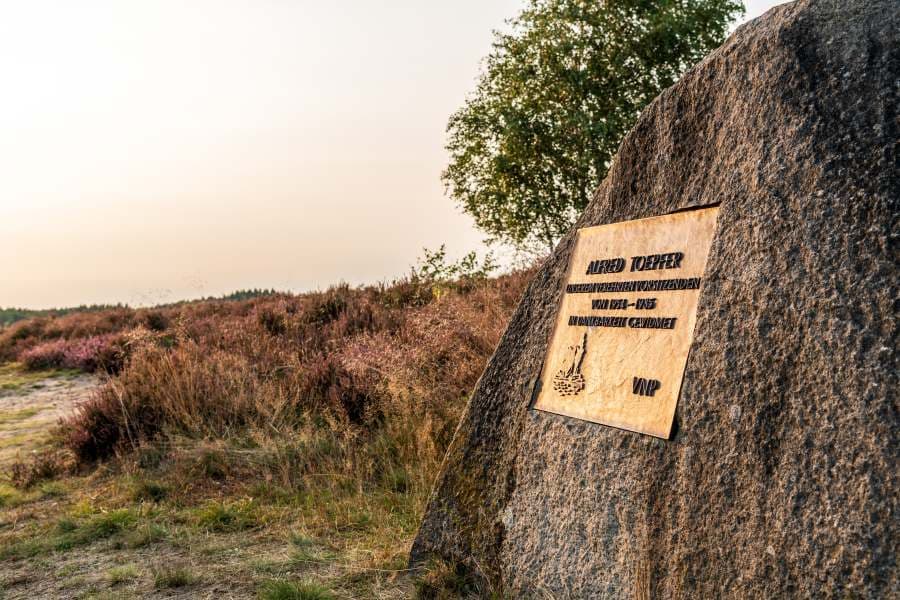 Wanderung auf der Heideschleife Tütsberg mit Alfred Toepfer Blick Stein RundwanderwegHike on the Tütsberg heathland loop with Alfred Toepfer Blick Stein circular hiking trailVandretur på Tütsberg hede-loop med Alfred Toepfer Blick Stein cirkulær vandrestiWandeling op de Tütsbergse heidelus met de rondwandeling Alfred Toepfer Blick Stein
