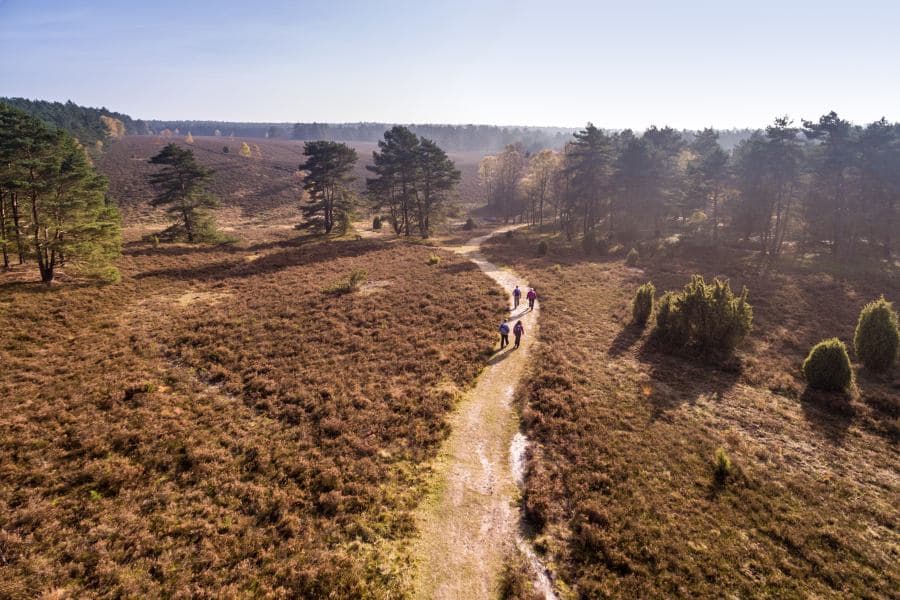 Luftaufnahme Tiefental Hermannsburg Wanderung HeideschleifeAerial view Tiefental Hermannsburg Hike HeideschleifeLuftfoto Tiefental Hermannsburg Hike HeideschleifeLuchtfoto Tiefental Hermannsburg Wandeling Heideschleife